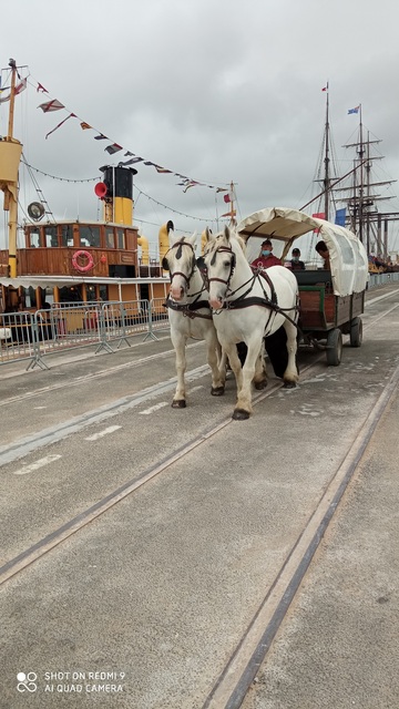 Calèche et attelage à louer près de Lille