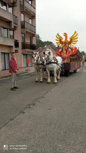 Calèche et attelage à louer près de Lille