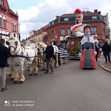 Elevage du Bon Coin : traction Géant de Dunkerque