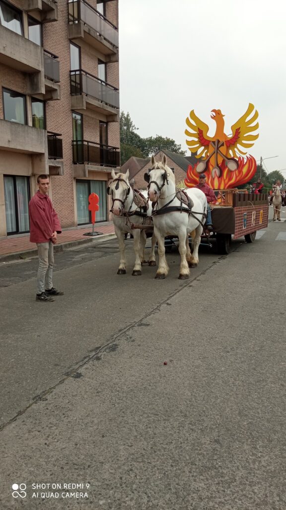 balade en calèche (1)