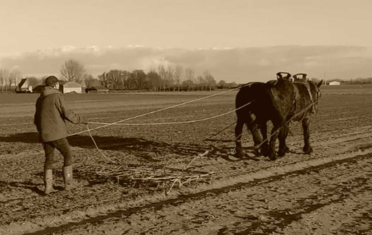 whatsapp-image-2023-03-05-at-19.34.40-2-