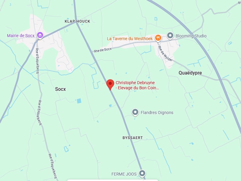 Élevage du Bon Coin: Carte de localisation à Socx et Quaëdypre. Carte de Socx et Quaëdypre montrant la localisation de Christophe Debruyne - Élevage du Bon Coin, entre Rte d'Esquebecq et Rte de Wylder.