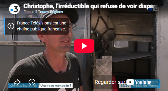 Christophe défend les chevaux Boulonnais, une race menacée, dans un reportage France 3 Hauts-de-France.